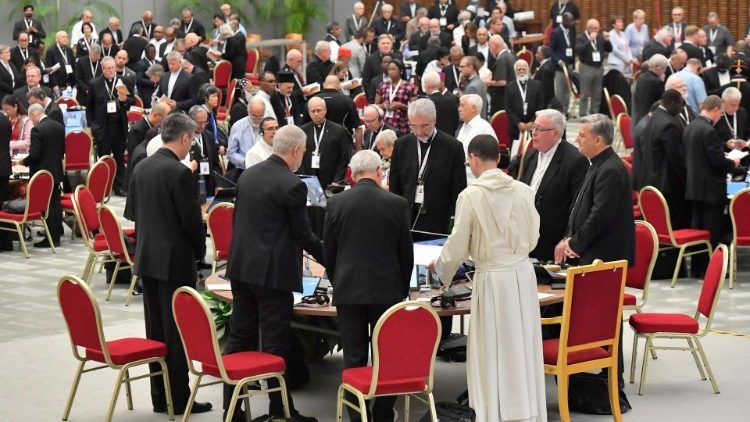 Cardinal Hollerich opens Synod reflections on ‘communion that radiates’